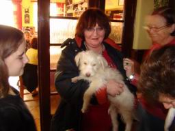 Resize of DSC06213.JPG